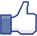 facbook likes